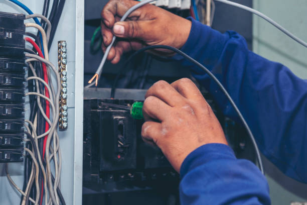 Best Ceiling Fan Installation Electrician  in Morrisonvle, IL