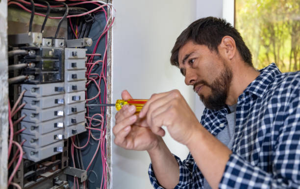 Best Local Electrician Companies  in Morrisonvle, IL